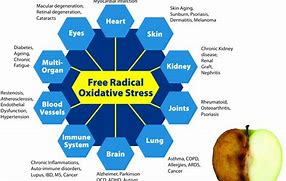 Oxidatieve Stress en Geïoniseerd Water + Vrije Radicalen vanger